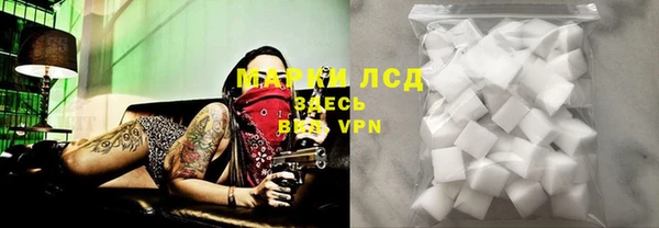 мдпв Богданович