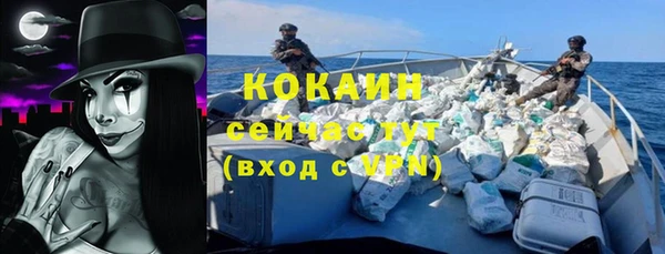 МДПВ Богородск